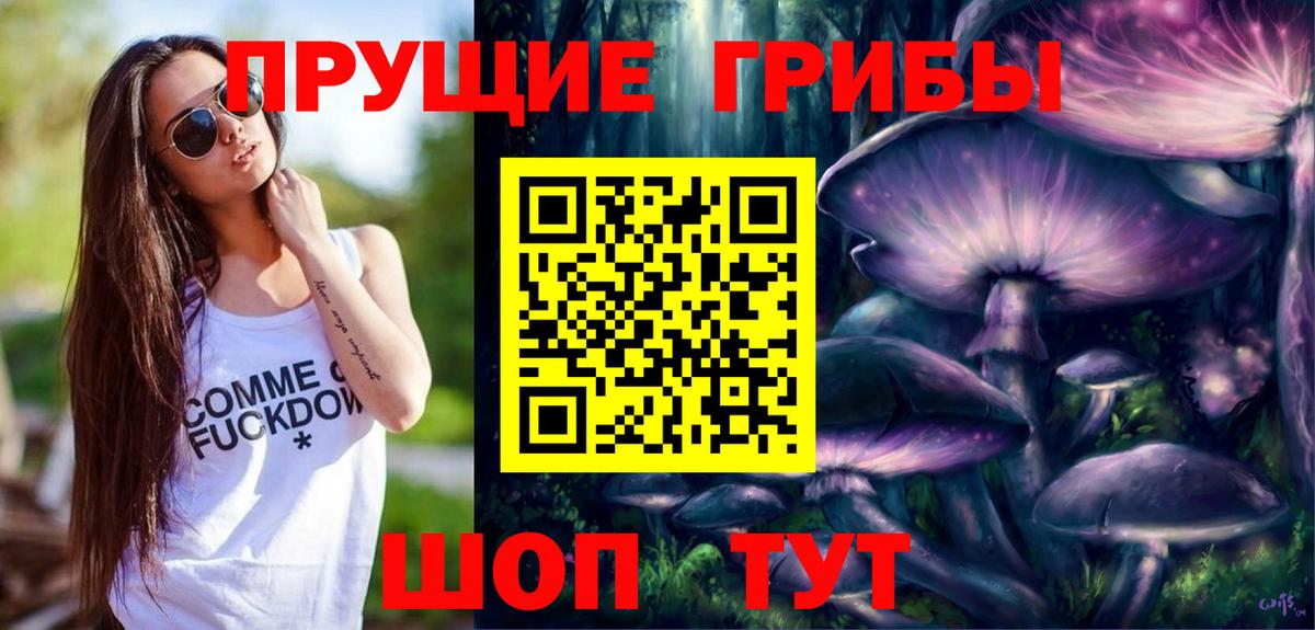 Псилоцибиновые грибы Psilocybe Бердск