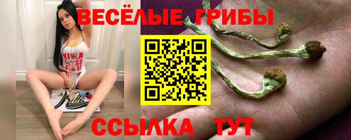 Бердск  Галлюциногенные грибы мицелий  Вход с VPN 